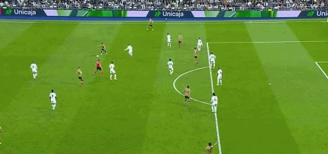 皇皇72.gif