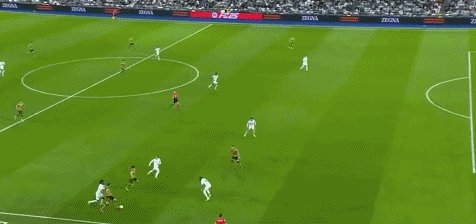 皇皇80.gif